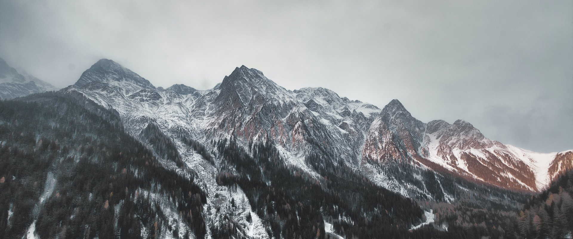 banner-pexels-eberhard-grossgasteiger-976917